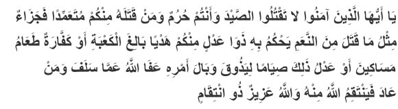 QS Al-Maidah Ayat 95
